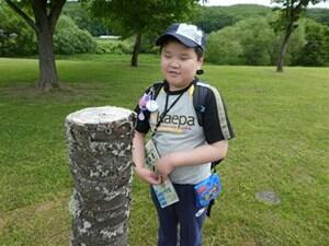 小学部生がネイチャービンゴで切り株を見つけた様子